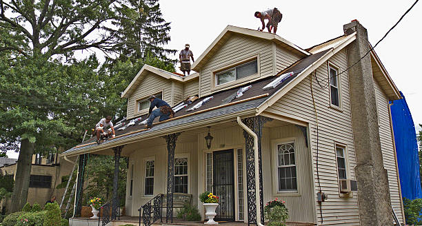 Roof Gutter Cleaning in Lafayette, TN